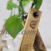 Vintage Style Wooden Tray Glass Tabletop Plant Bonsai Flower Vase Home Decor   372166164068